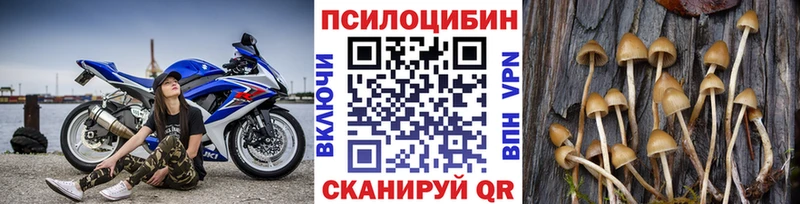 Псилоцибиновые грибы Cubensis  купить  цена  Краснознаменск 