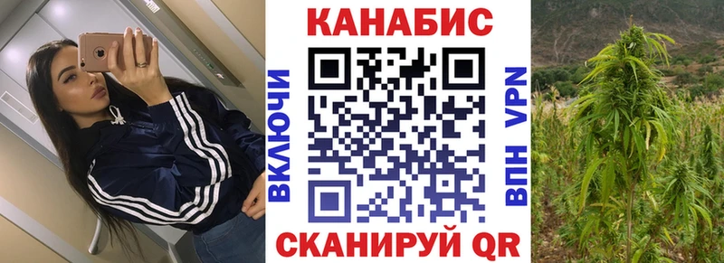 Бошки Шишки гибрид  купить закладку  Краснознаменск 